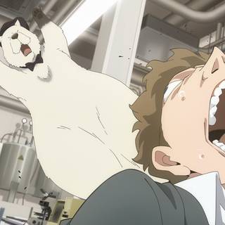 Spy x Family Bond wallpaper