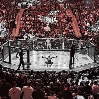 MMA cage wallpaper