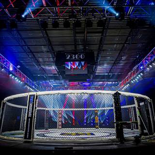 MMA cage wallpaper