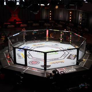 MMA cage wallpaper