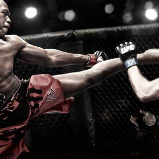 MMA cage wallpaper