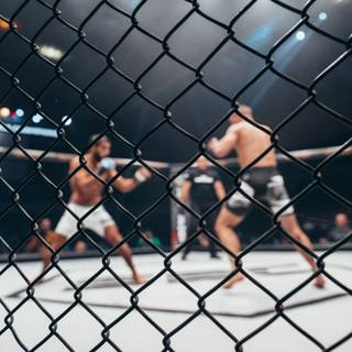 MMA cage wallpaper