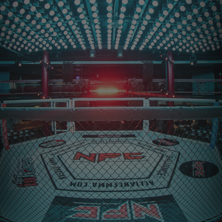 MMA cage wallpaper