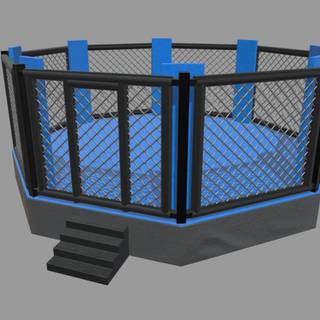 MMA cage wallpaper