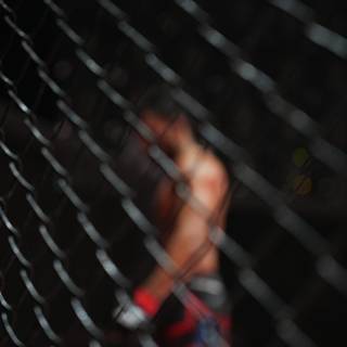 MMA cage wallpaper