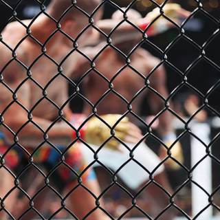 MMA cage wallpaper