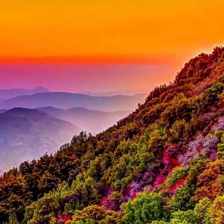 Nature colourful iPhone wallpaper