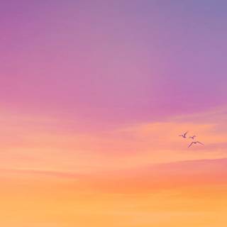 GTA 6 4k PS5 wallpaper