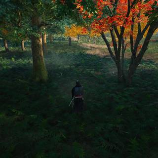 PS5 Rise of The Ronin HD wallpaper