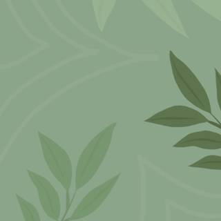 Pastel green wallpaper