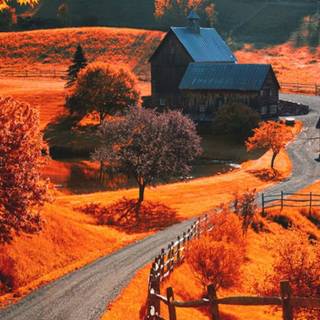 Autumn pixel art phone wallpaper