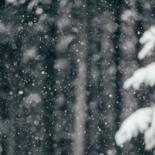 Winter aeshetic iPhone wallpaper