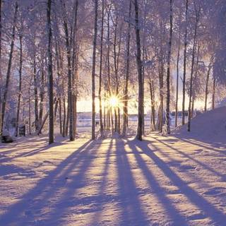 Winter aeshetic iPhone wallpaper