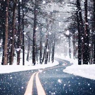 Winter aeshetic iPhone wallpaper