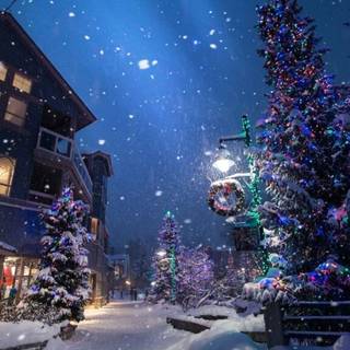 Winter aeshetic iPhone wallpaper