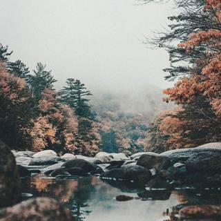 Winter aeshetic iPhone wallpaper