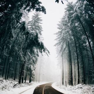 Winter aeshetic iPhone wallpaper