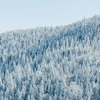 Winter aeshetic iPhone wallpaper