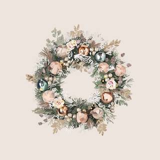 Winter aeshetic iPhone wallpaper