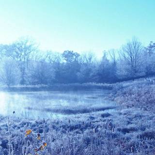 Winter day desktop wallpaper