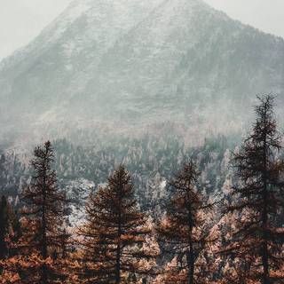 Winter aeshetic iPhone wallpaper