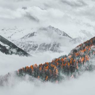 Winter aeshetic iPhone wallpaper