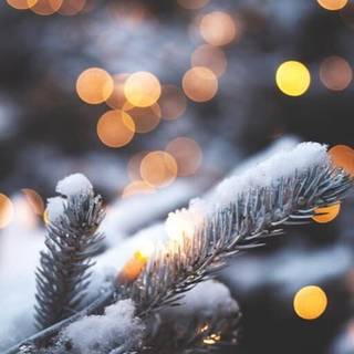 Winter aeshetic iPhone wallpaper
