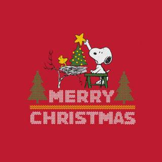 2560x1440 Snoopy winter wallpaper