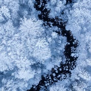 Winter aeshetic iPhone wallpaper