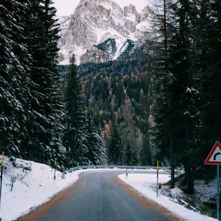 Winter aeshetic iPhone wallpaper