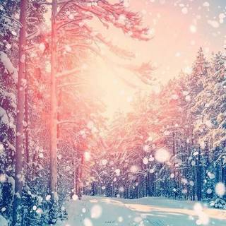 Winter aeshetic iPhone wallpaper