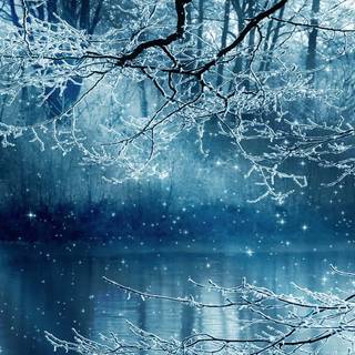 Winter day desktop wallpaper