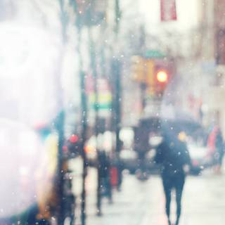 Winter day desktop wallpaper