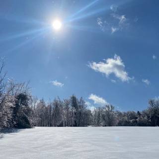 Winter day desktop wallpaper