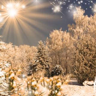 Winter day desktop wallpaper