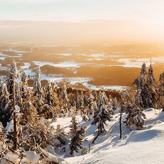 iPhone 12 Pro Max snow wallpaper