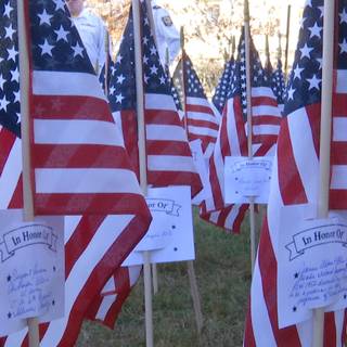 Veteran's Day 2024 wallpaper