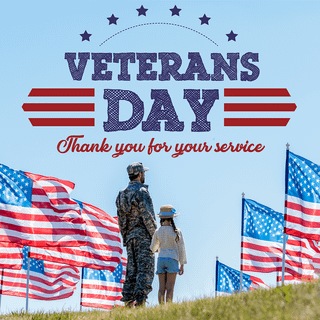 Veteran's Day 2024 wallpaper