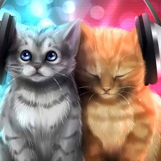 Two cats together wallpaper