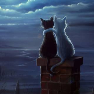 Two cats together wallpaper