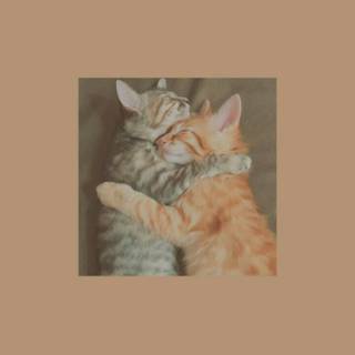 Two cats together wallpaper
