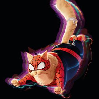 Spider-Man cat wallpaper