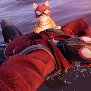Spider-Man cat wallpaper