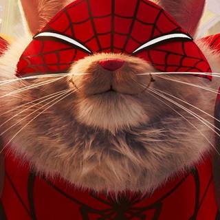 Spider-Man cat wallpaper