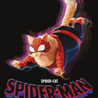 Spider-Man cat wallpaper