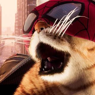 Spider-Man cat wallpaper