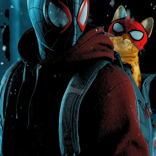 Spider-Man cat wallpaper
