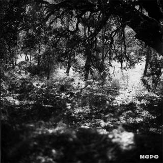 Nopo camera wallpaper