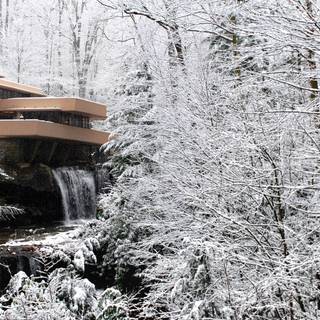 Fallingwater wallpaper