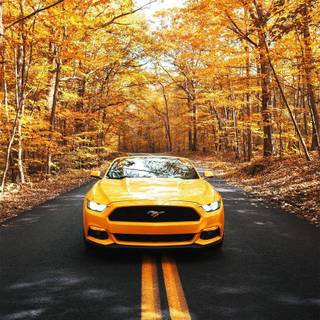 Ford Mustang yellow wallpaper